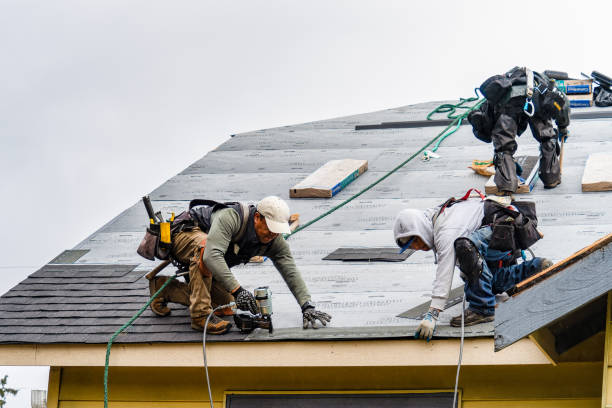 Professional Roof Installation technician working in Rollins, MT
